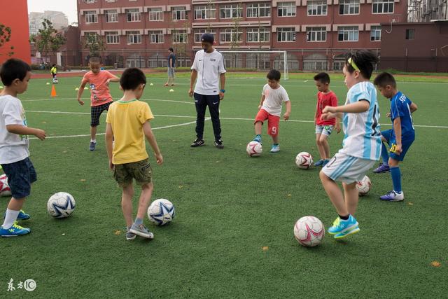 东北的马口鱼：难以置信的“大型鱼”身份
